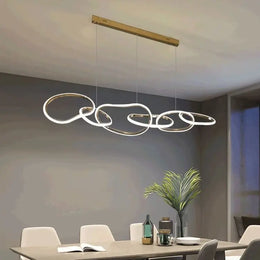 Minimalist Stainless Steel Dining Room Pendant Light