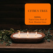 3-Wick Dough Bowl Clean Burning Scented Candles